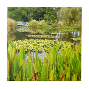 Azulejo Lily Pond Ceramic Tile