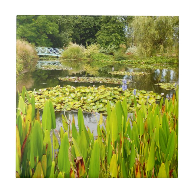 Azulejo Lily Pond Ceramic Tile (Frente)