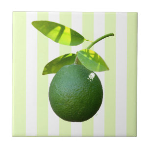 Azulejo Lime Cerámica Tile