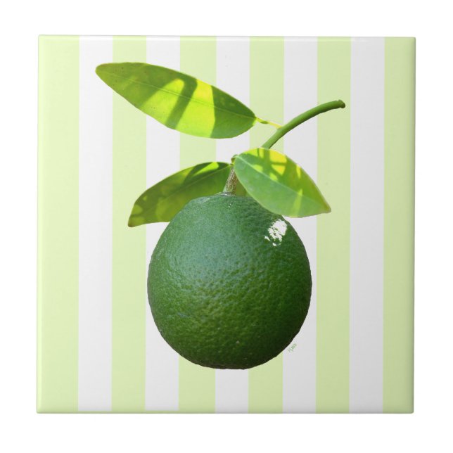 Azulejo Lime Cerámica Tile (Frente)