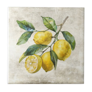 Azulejo Limones Rústicos Shabby Chic Cottage Cerámica