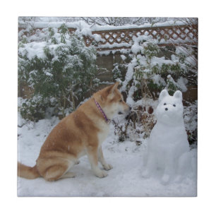 Azulejo linda akita sentada con un muñeco de nieve en el 