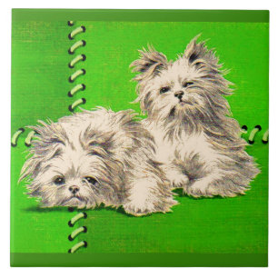 Azulejo lindos perros floofos