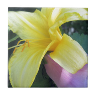 Azulejo Lirio amarillo