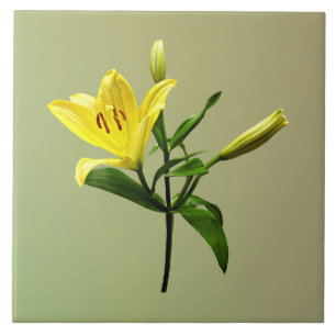 Azulejo Lirio amarillo