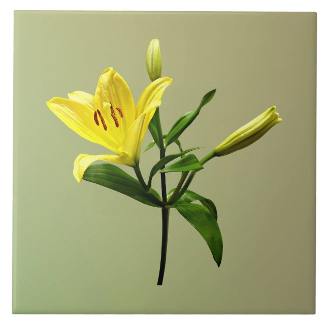 Azulejo Lirio amarillo (Frente)
