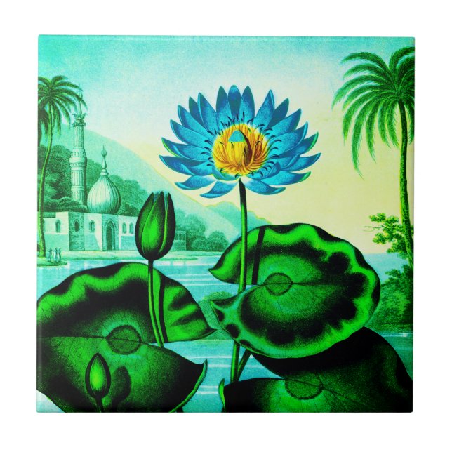 Azulejo Lirio de agua azul egipcio / Ilustracion Lotus (Frente)