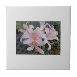 Azulejo Lirio de Resurrección