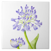 Lirio del Nilo en una mosaico de cerámica