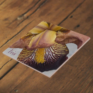 Azulejo Lirio floral sin barba amarillo y violeta