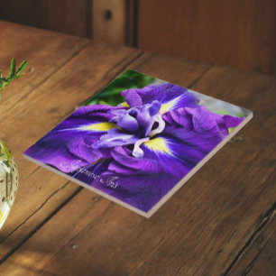 Azulejo Lirio Japonés Púrpura Floral en Flor