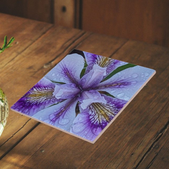 Azulejo Lirio Morado sin Barba Floral (In Situ)