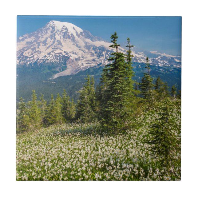 Azulejo Lirios de avalancha y Monte Rainier (Frente)