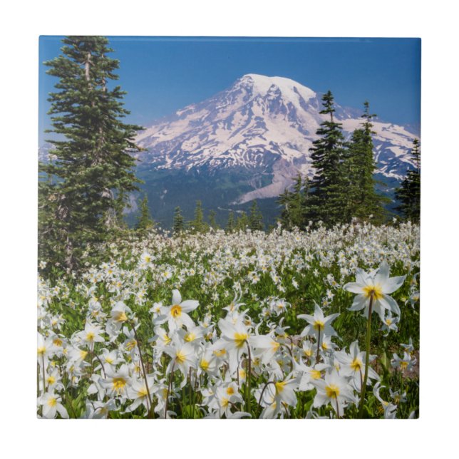 Azulejo Lirios de avalancha y Monte Rainier 2 (Frente)