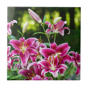 Azulejo Lirios Stargazer
