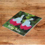 Azulejo Litros calientes rojos y blancos Salvia Floral<br><div class="desc">Baldosa cerámica que muestra una foto de las flores pequeñas,  rojas y blancas de los labios calientes Salvia,  también conocida como Littleleaf Sage. ¡Un bonito diseño floral! Seleccione su tamaño de mosaico. ¡Hace un gran trivet de cocina!</div>