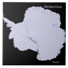 Azulejo Llanto blanco en la Antártida. Foto de la NASA.