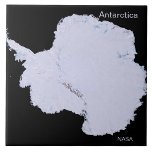 Azulejo Llanto blanco en la Antártida. Foto de la NASA.