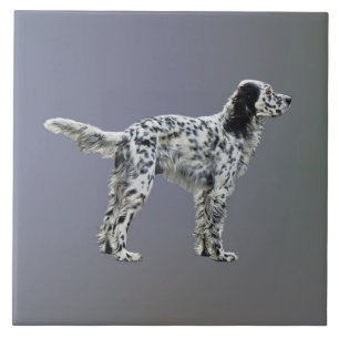 Azulejo LLewellin Setter