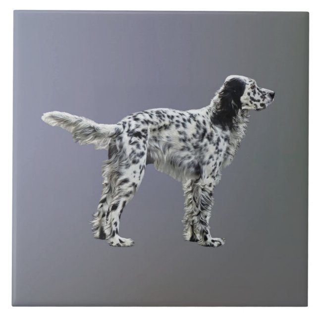 Azulejo LLewellin Setter (Frente)