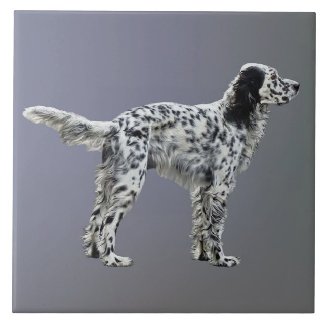 Azulejo LLewellin Setter (Frente)
