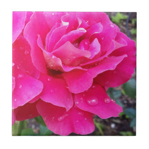 Azulejo Lluvia en pétalos