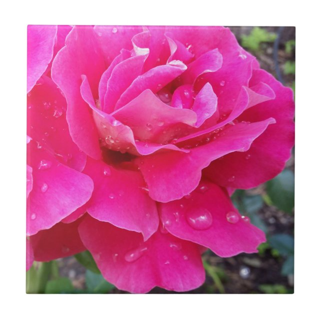 Azulejo Lluvia en pétalos (Frente)