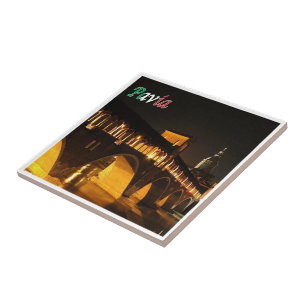 Azulejo LMD045 PAVIA El puente cubierto de noche,