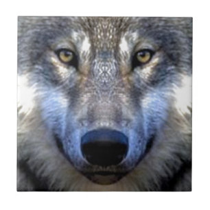 Azulejo Lobo