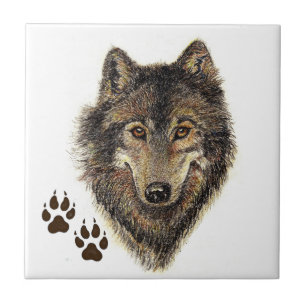 Azulejo Lobo, lobos, naturaleza, vida silvestre, acuarela
