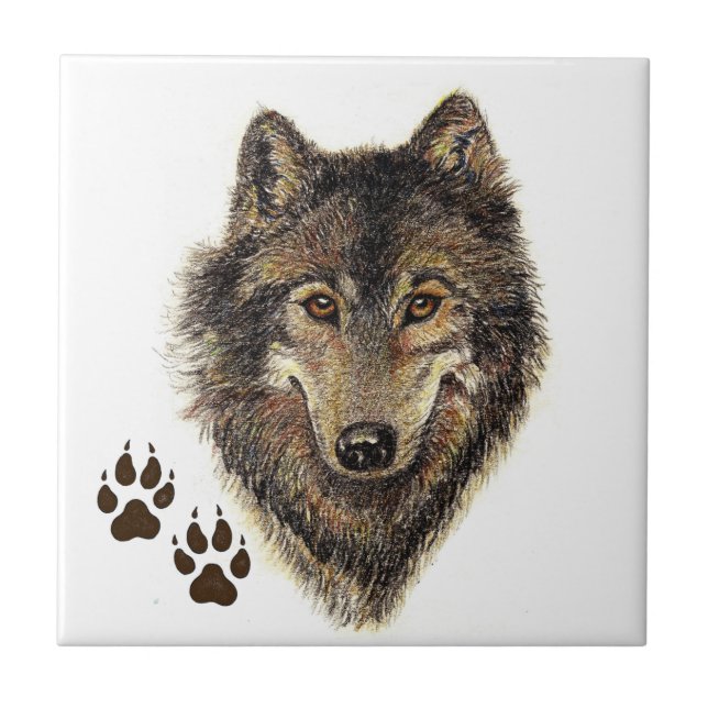 Azulejo Lobo, lobos, naturaleza, vida silvestre, acuarela (Frente)