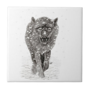 Azulejo Lobo negro enojado en la nieve, invierno salvaje