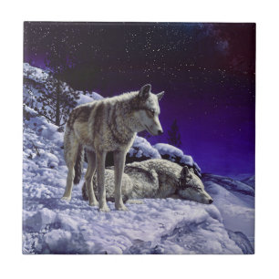 Azulejo Lobos grises en la nieve de invierno de noche