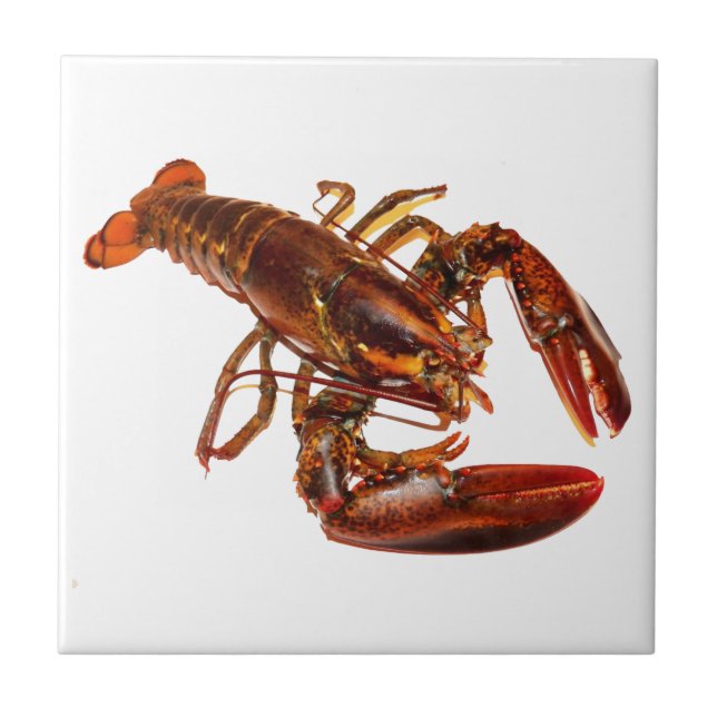 Azulejo Lobster (Frente)