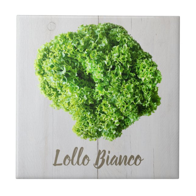 Azulejo Lollo Bianco Salad lechuga para Vegans (Frente)