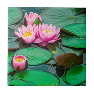 Azulejo Lomo rosa flor
