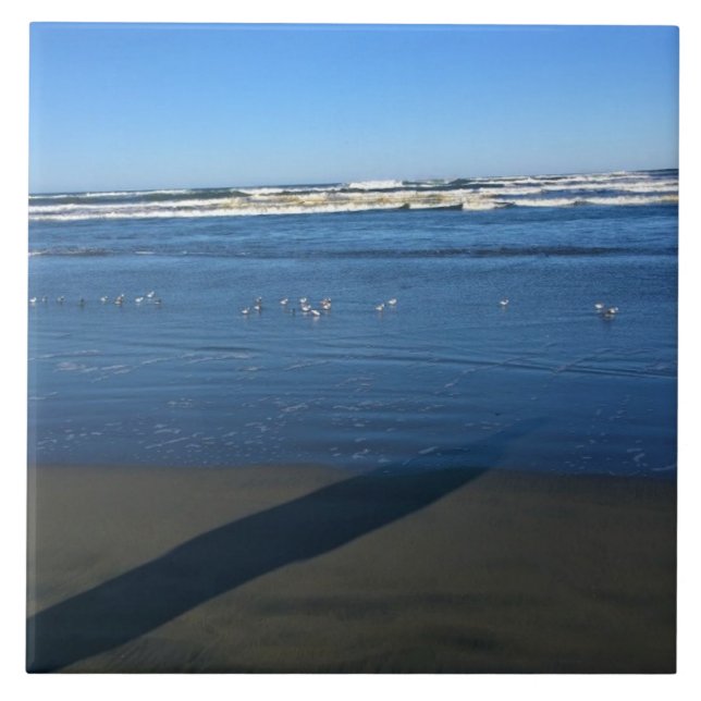 Azulejo Long Beach, Washington (Frente)