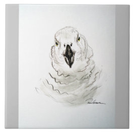 Azulejo Loro mirándote. ... ...