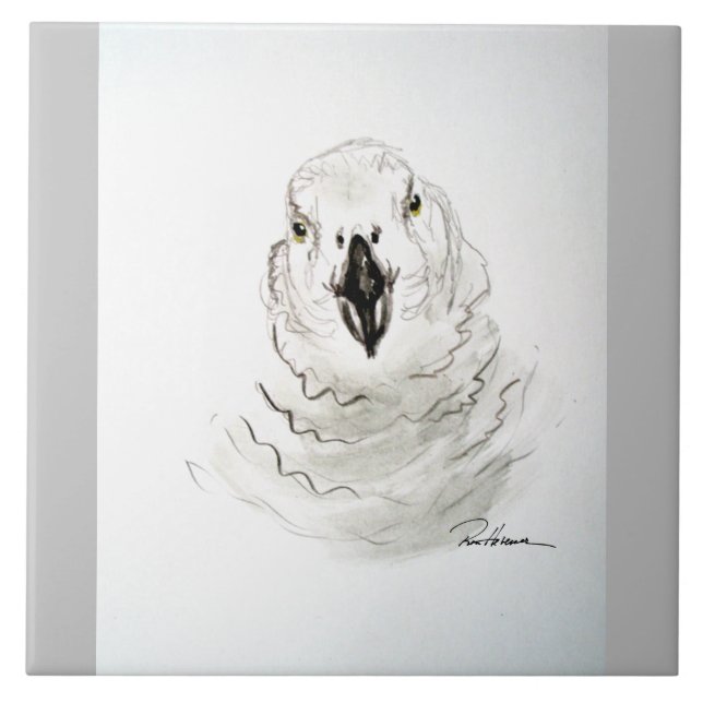 Azulejo Loro mirándote. ... ... (Frente)