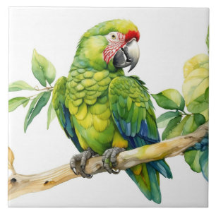 Azulejo Loro verde acuarela en una rama de árbol