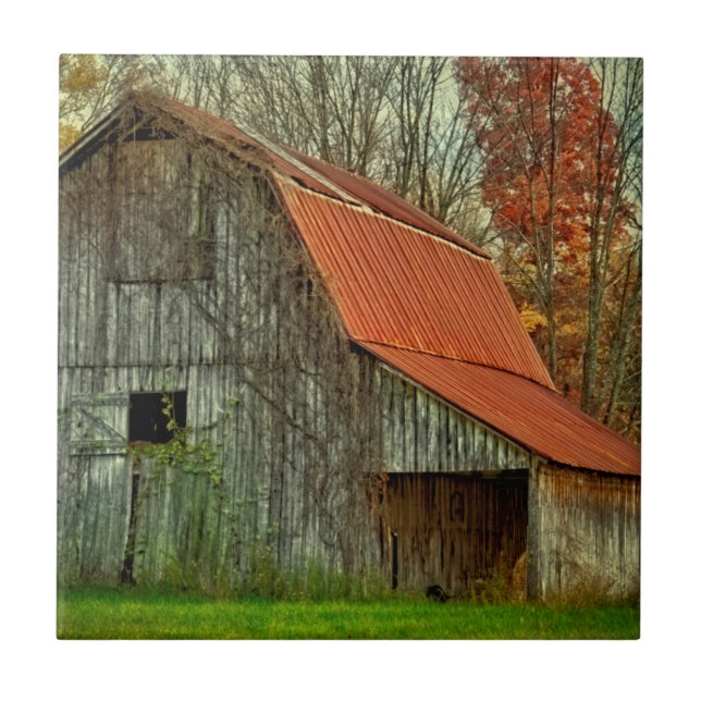 Azulejo Los E.E.U.U., Indiana. paisaje rural, granero (Frente)