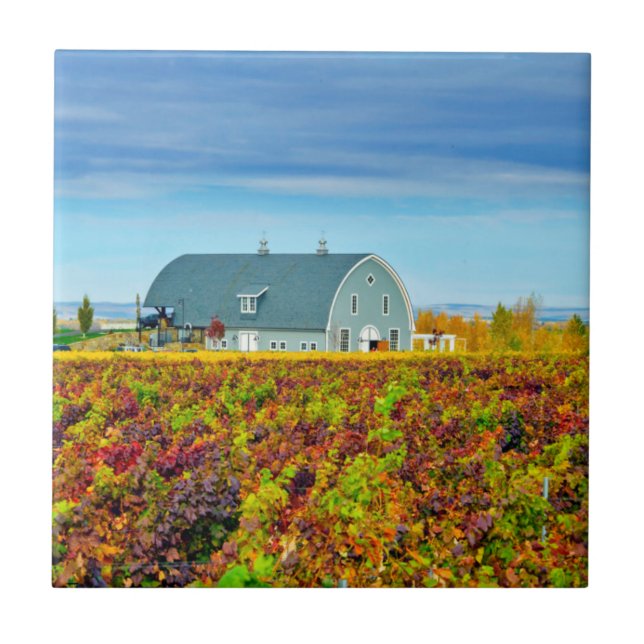 Azulejo Los E.E.U.U., Washington, Walla Walla. Cala de la (Frente)