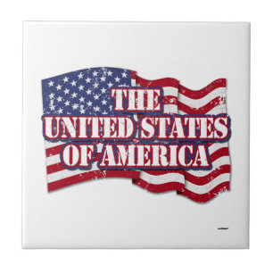 Azulejo Los Estados Unidos de América con bandera afligida