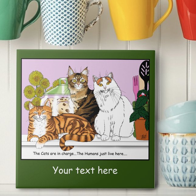 Azulejo Los gatos están a cargo (Subido por el creador)