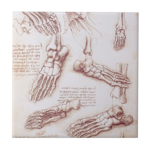 Azulejo Los huesos de pies de anatomía humana de Leonardo  (Frente)
