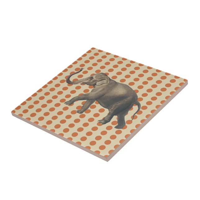 Azulejo Los mejores ánimos de las especias con el elefante (Lado)