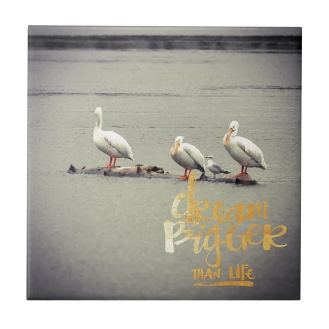 Azulejo Los pelícanos y la gaviota sueñan más (Frente)