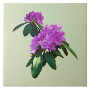 Azulejo Los rododendros rosados encantadores