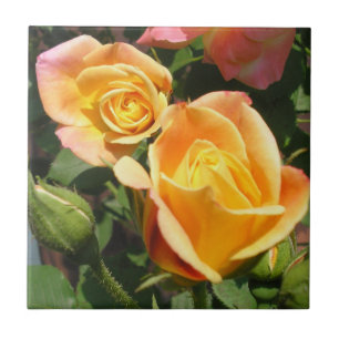 Azulejo Los Rosas del escudo de José
