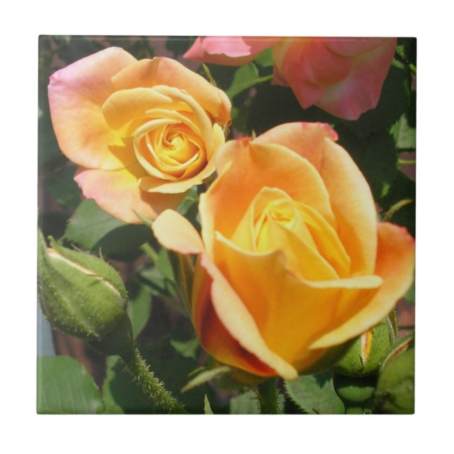 Azulejo Los Rosas del escudo de José (Frente)